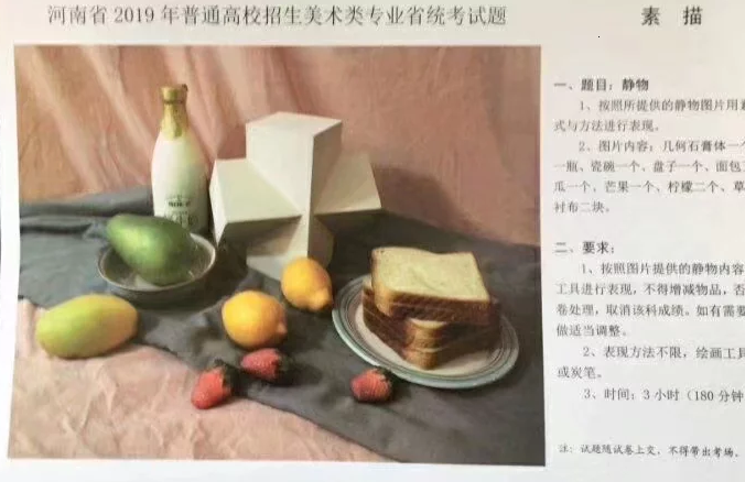 2019河南美术联考素描考题